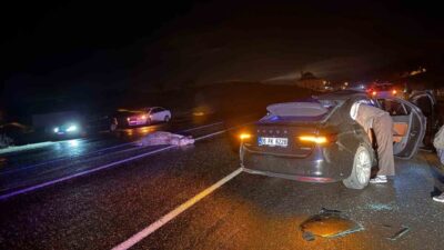 Bingöl ilinde, bir otomobilin ata çarpması sonucu meydana gelen trafik