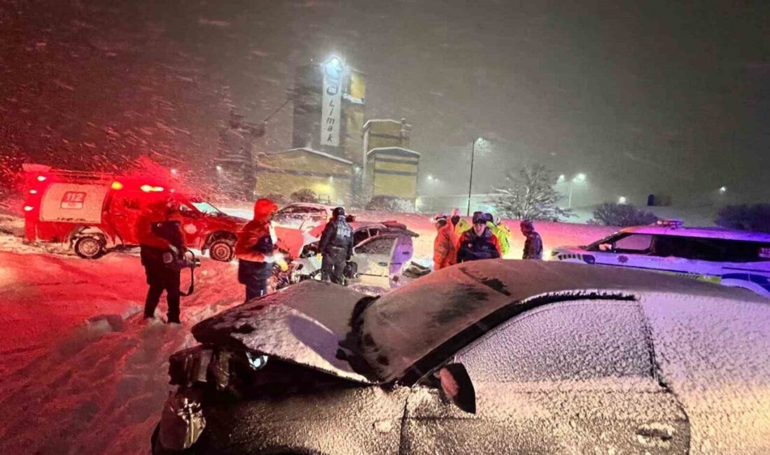 Bitlis ilinde aşırı kar yağışı, trafik kazalarına neden oldu. Bitlis-Güroymak