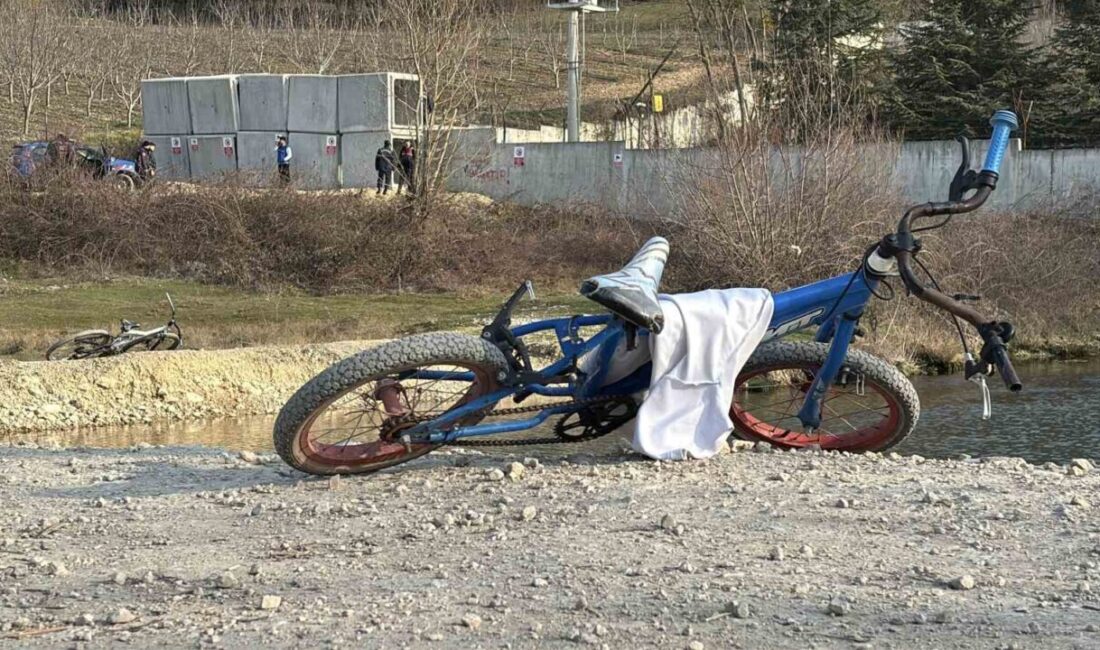 Bolu’nun Çaygökpınar köyünde, 13 yaşındaki bir çocuk gölette boğulma tehlikesi