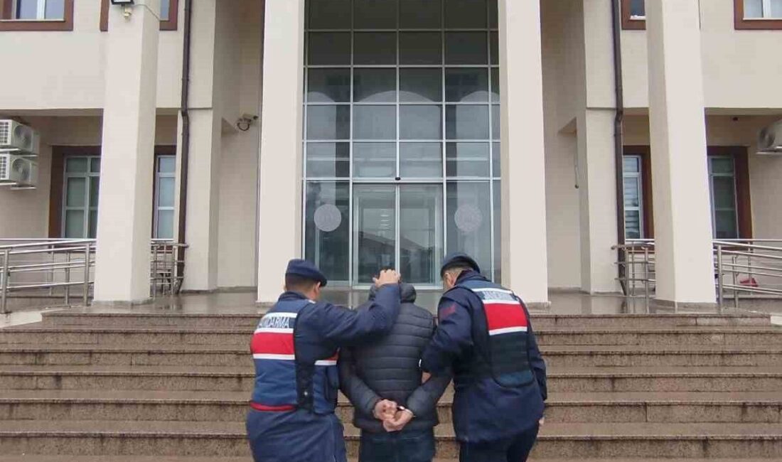 Çanakkale iline uyuşturucu madde getireceği bilgisine ulaşılan şüpheli, Bursa’da jandarma