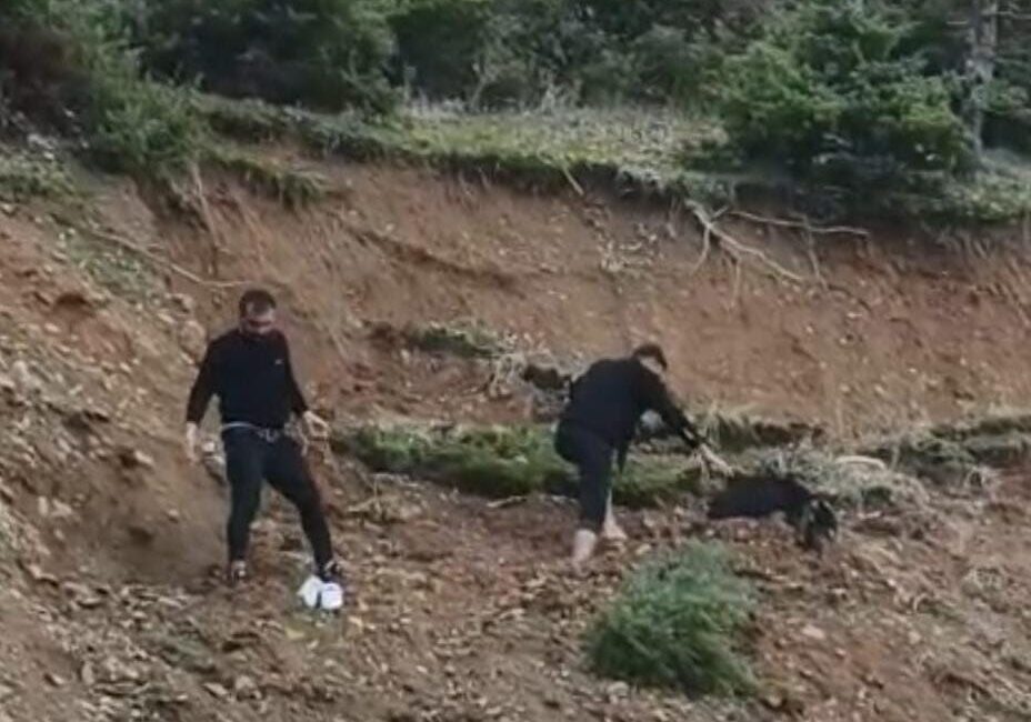 Sason ilçesine bağlı Kaşyayla köyünde yaşanan bir olayda, çamurda mahsur