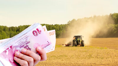 Yerköy İlçe Tarım ve Orman Müdürlüğü, çiftçilere yönelik destek ödemeleriyle