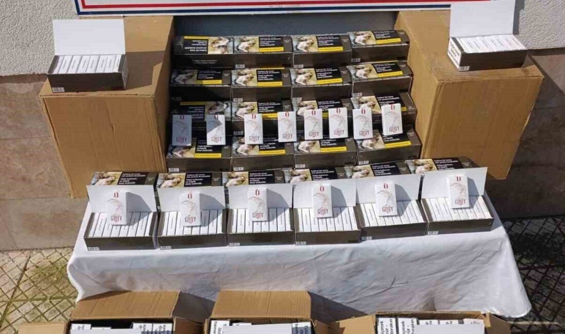 Çine ilçesi girişinde durdurulan bir araçtan 55 bin adet tütün