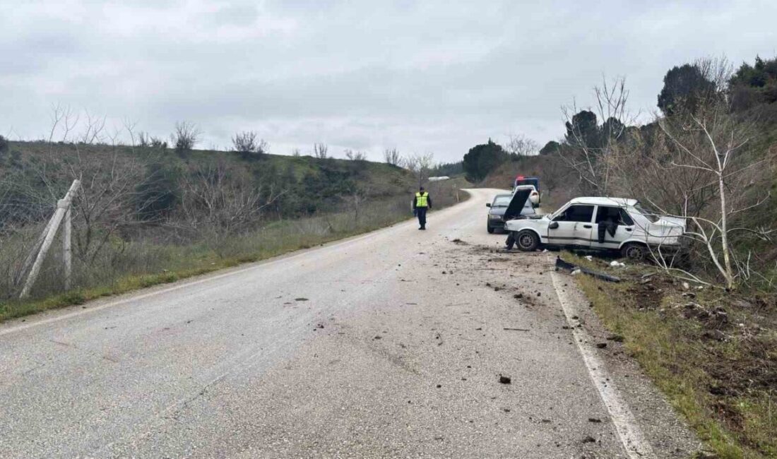 Söğüt ilçesinde meydana gelen trafik kazasında sürücü aracını kontrol edemeyerek