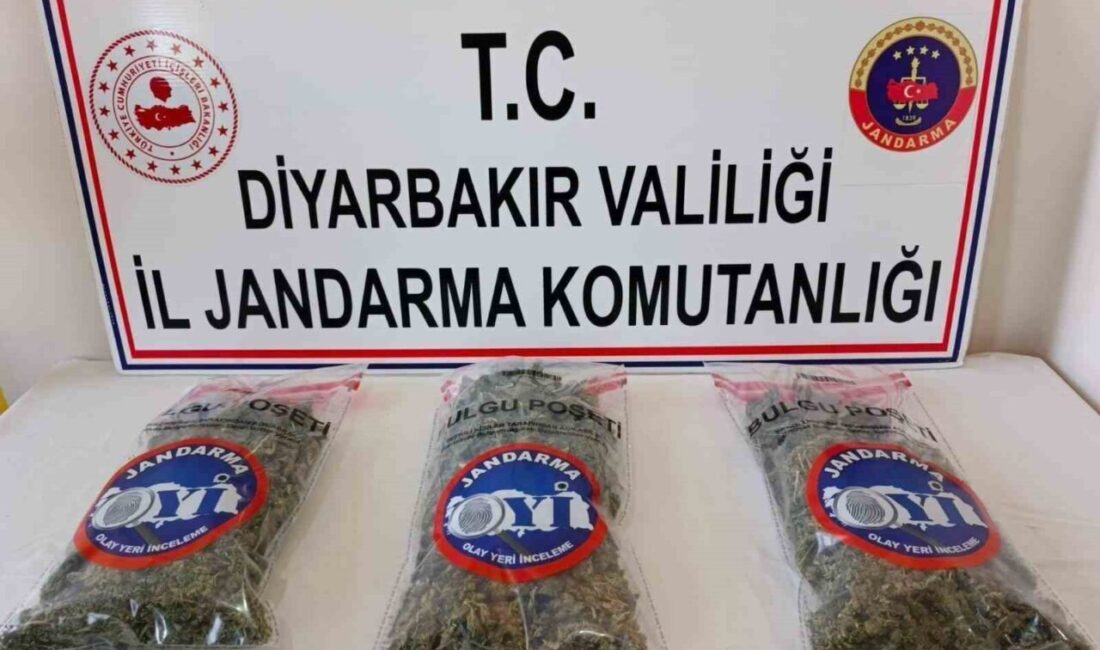 Diyarbakır ilinde Jandarma ekipleri tarafından gerçekleştirilen operasyonlarda 25 kilogram esrar