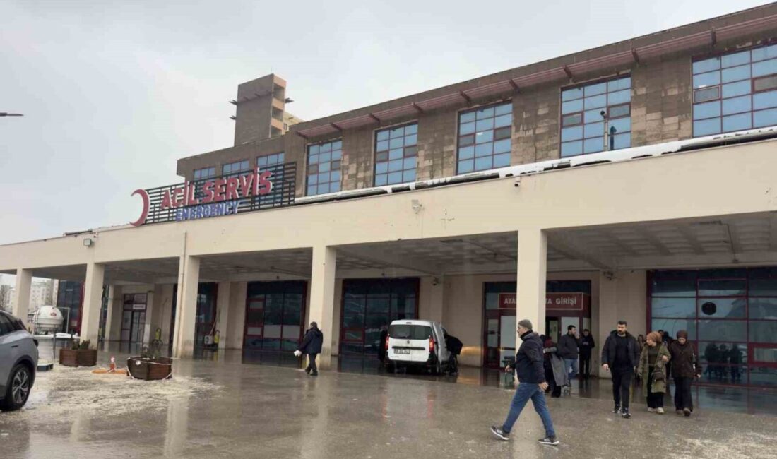 Çermik ilçesinde yaşanan taşlı sopalı kavga, yol verme konusundaki anlaşmazlıktan