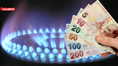 Enerji ve Tabii Kaynaklar Bakanı Alparslan Bayraktar, elektrik ve doğal