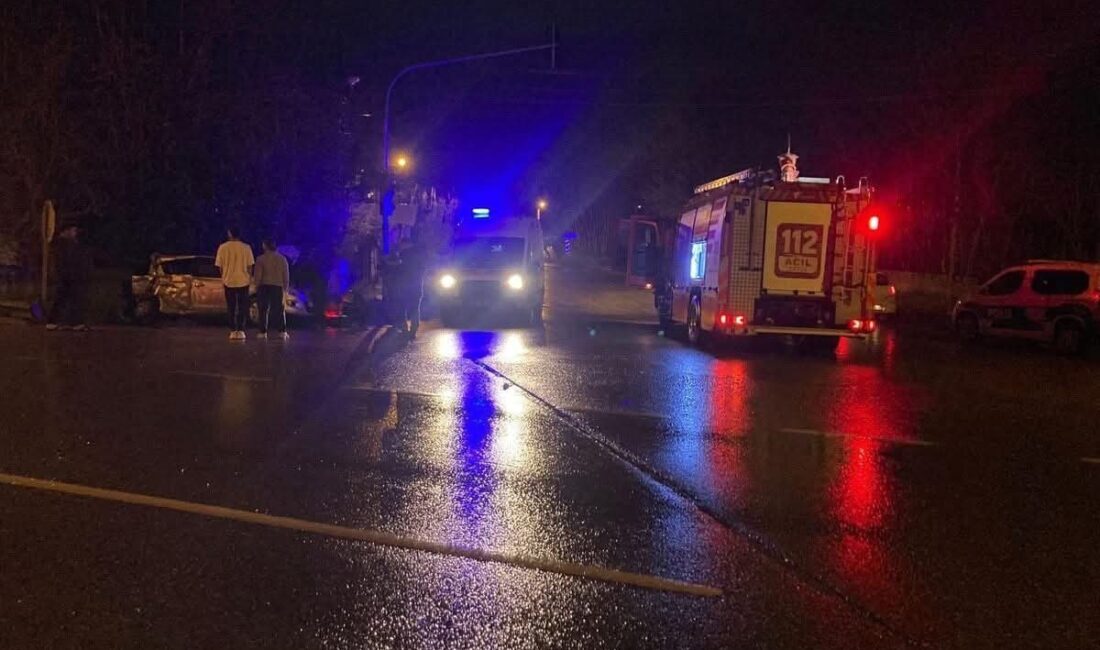 Hatay’ın Dörtyol ilçesinde meydana gelen trafik kazasında, bir hafif ticari