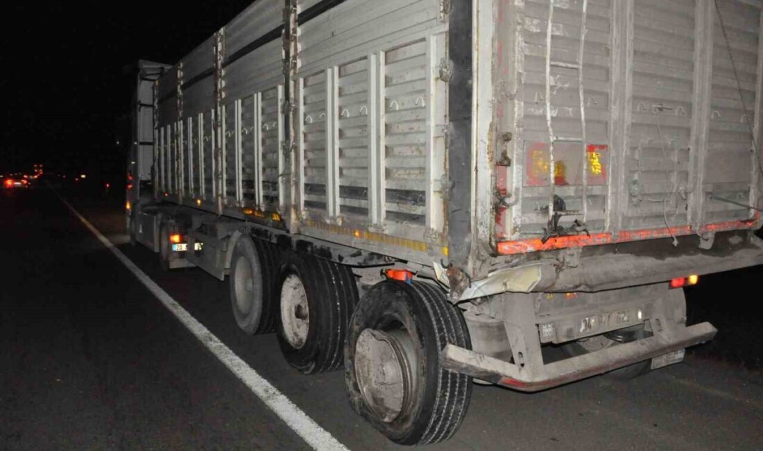 Keşan ilçesinde meydana gelen trafik kazasında, tırın dorsesine çarpan kamyonetteki