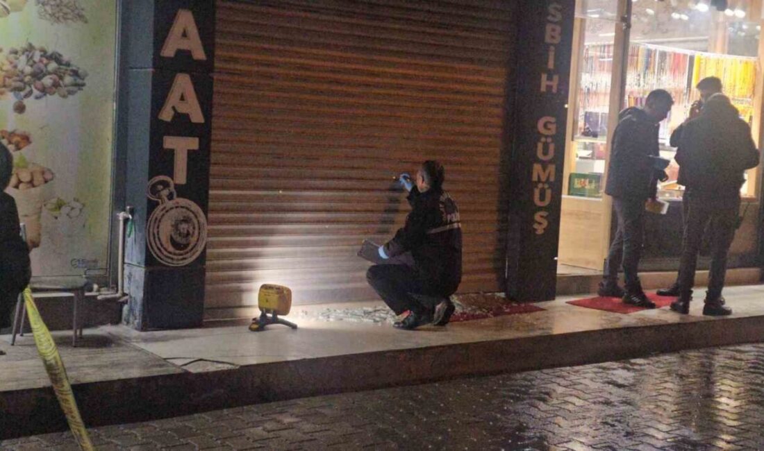 Elazığ’ın İzzetpaşa Mahallesi Hasan Sabri Sokak’ta meydana gelen olayda, kimliği