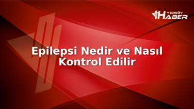 Epilepsi nöbet nedenleri, teşhis yöntemleri ve sosyal etkileriyle ilgili geniş