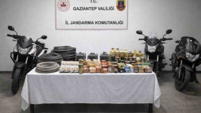 Gaziantep’te, Jandarma ekipleri koordinesinde yapılan çalışmalar sonucunda hırsızlık şüphesiyle aranan