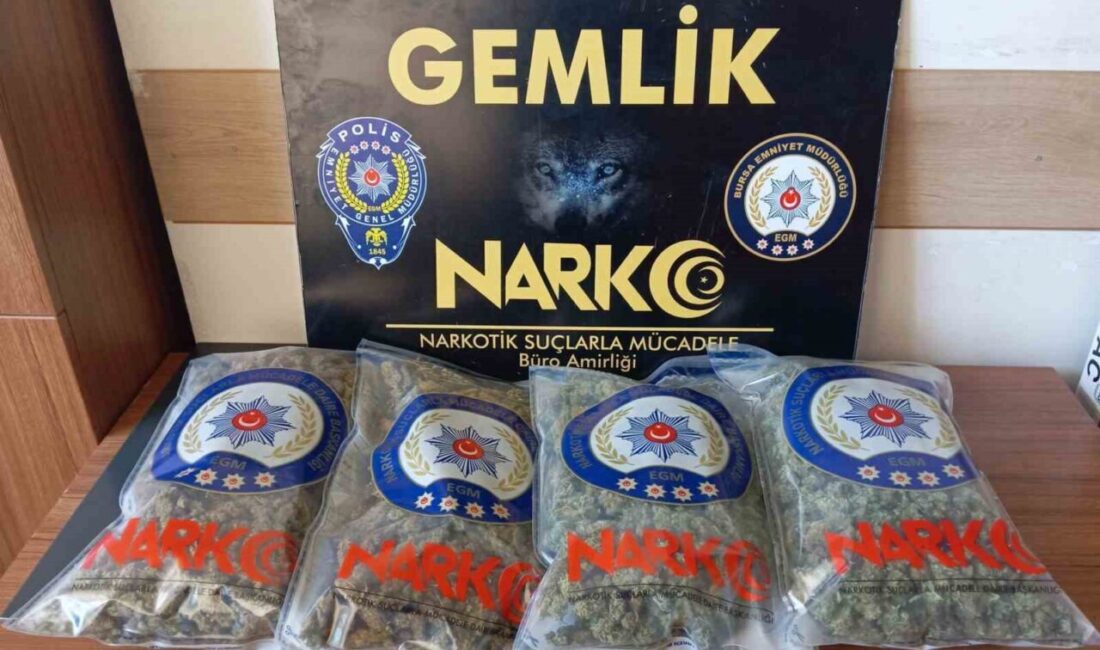 Gemlik’te son bir ay içinde gerçekleştirilen operasyonlarda uyuşturucu kaçakçılarına yönelik