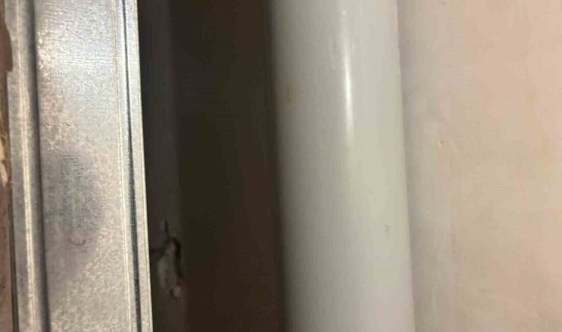 Adalet Bakanlığı, FETÖ firarisi Şadan Sakınan’ın gri kategoride arandığını ve