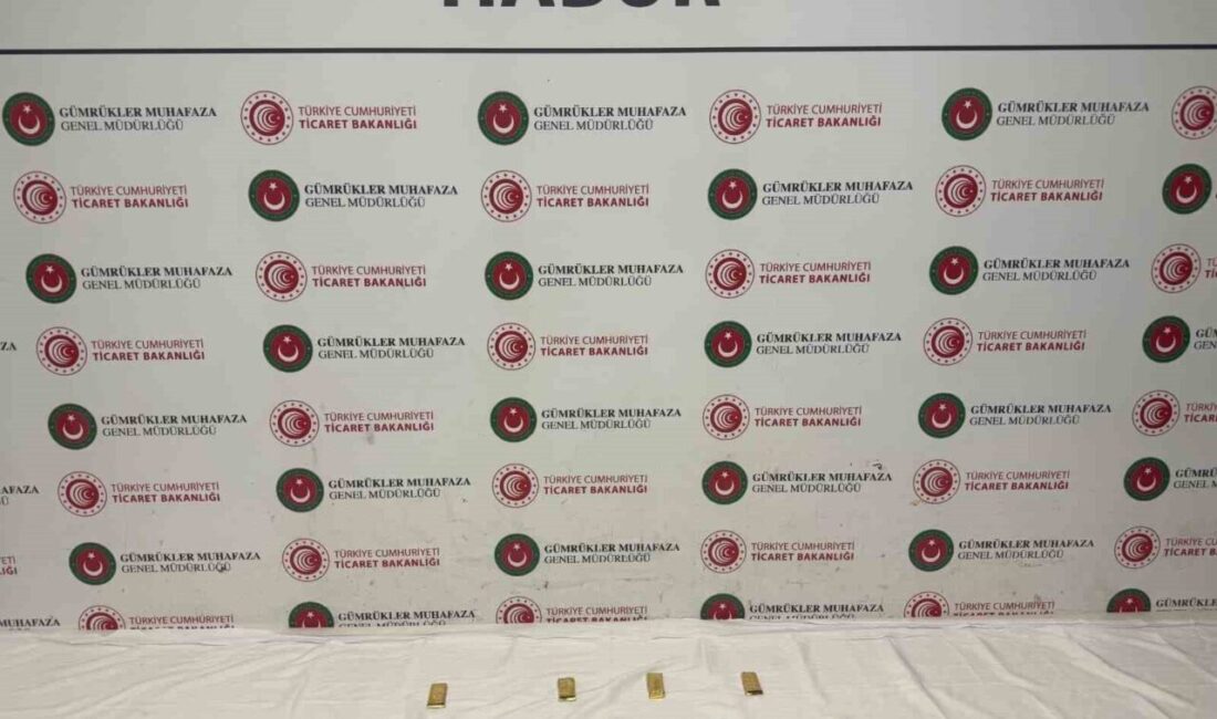 Şırnak’taki Habur Gümrük Kapısı’nda gerçekleştirilen gümrük kontrol ve denetimleri esnasında