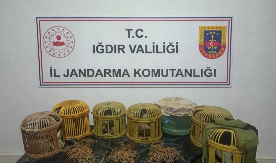 Iğdır’ın Tuzluca ilçesinde jandarma ekipleri tarafından düzenlenen operasyonda yasak yöntemlerle