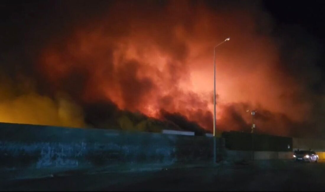 Kadirli Organize Sanayi Bölgesi’ndeki tavuk fabrikasında çıkan yangın sabaha karşı