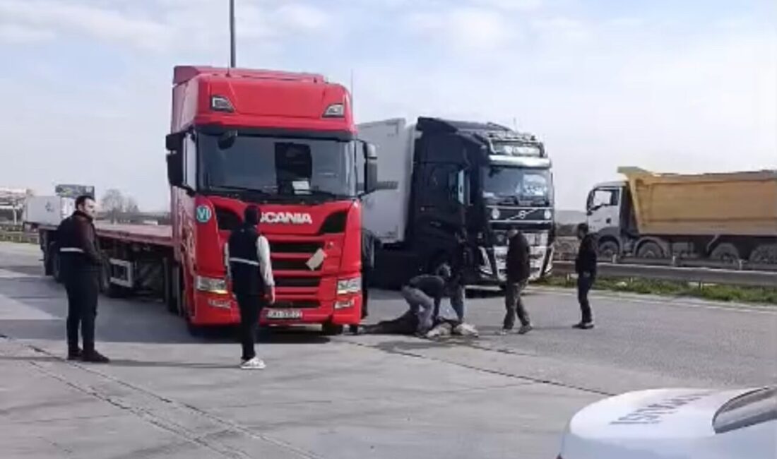 Edirne’nin Kapıkule Sınır Kapısı yakınlarında seyir halinde olan bir tır