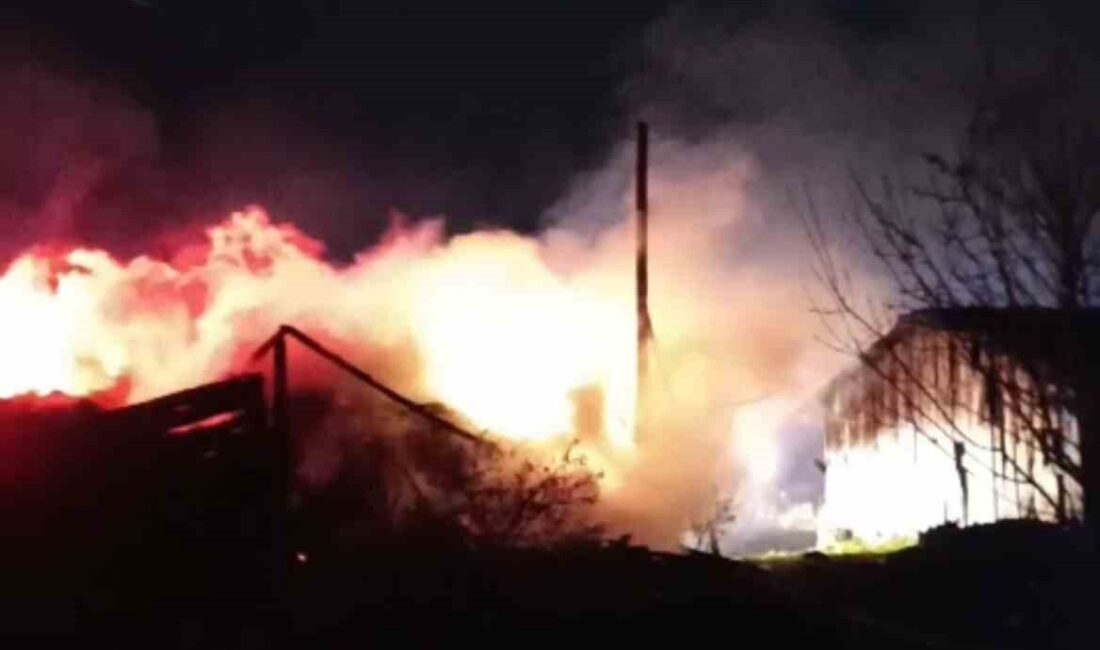 Eskipazar ilçesinde bulunan Kapucu Mahallesi’nde, Adem K.’ye ait samanlık ve