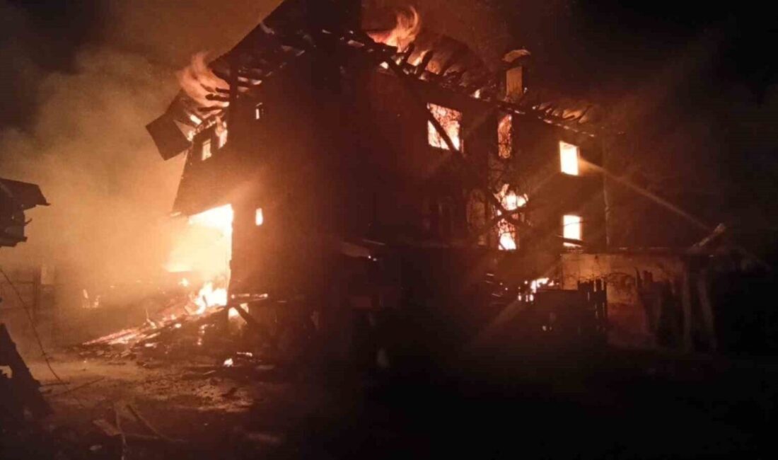 Kastamonu’nun Daday ilçesine bağlı bir köyde meydana gelen yangında, 2