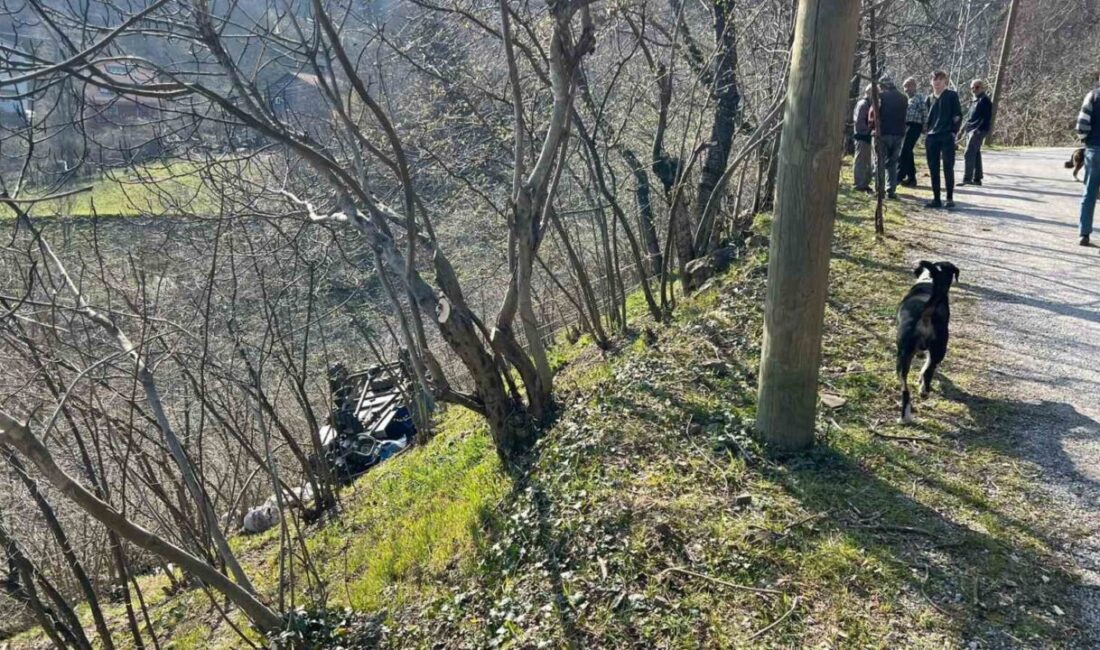 Bozkurt ilçesine bağlı Günvakti köyü Kavakça Mahallesi’nde meydana gelen bir
