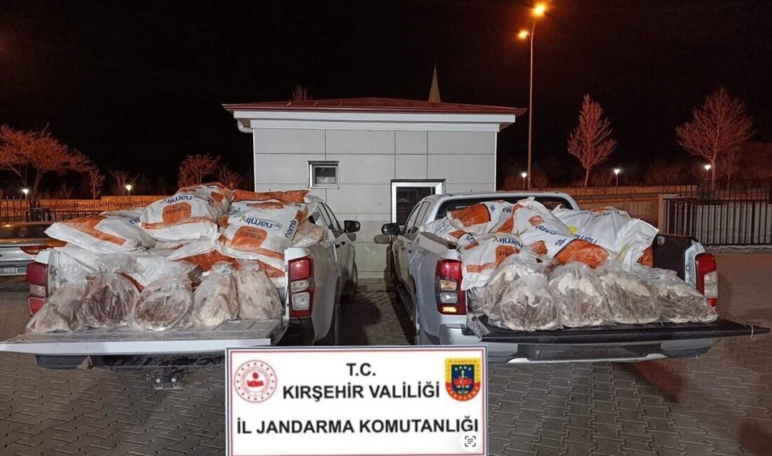 Kırşehir’de yapılan yol kontrolü sırasında jandarma ve tarım ekipleri, sağlık