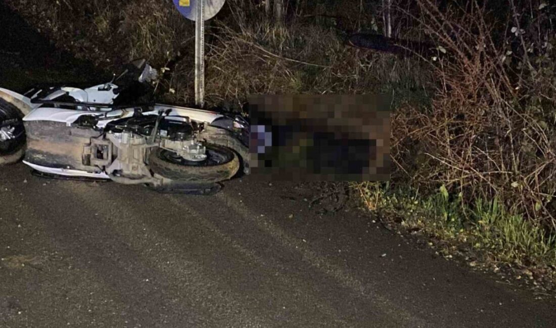 Bir trafik kazası, Bursa’nın İnegöl ilçesinde meydana geldi ve bu