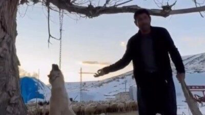 Kayseri’nin Pınarbaşı ilçesinde bir köpeği ağaca astığı iddia edilen ve