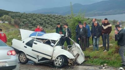 Alaşehir ilçesinde meydana gelen trafik kazasında, otomobil ile canlı hayvan