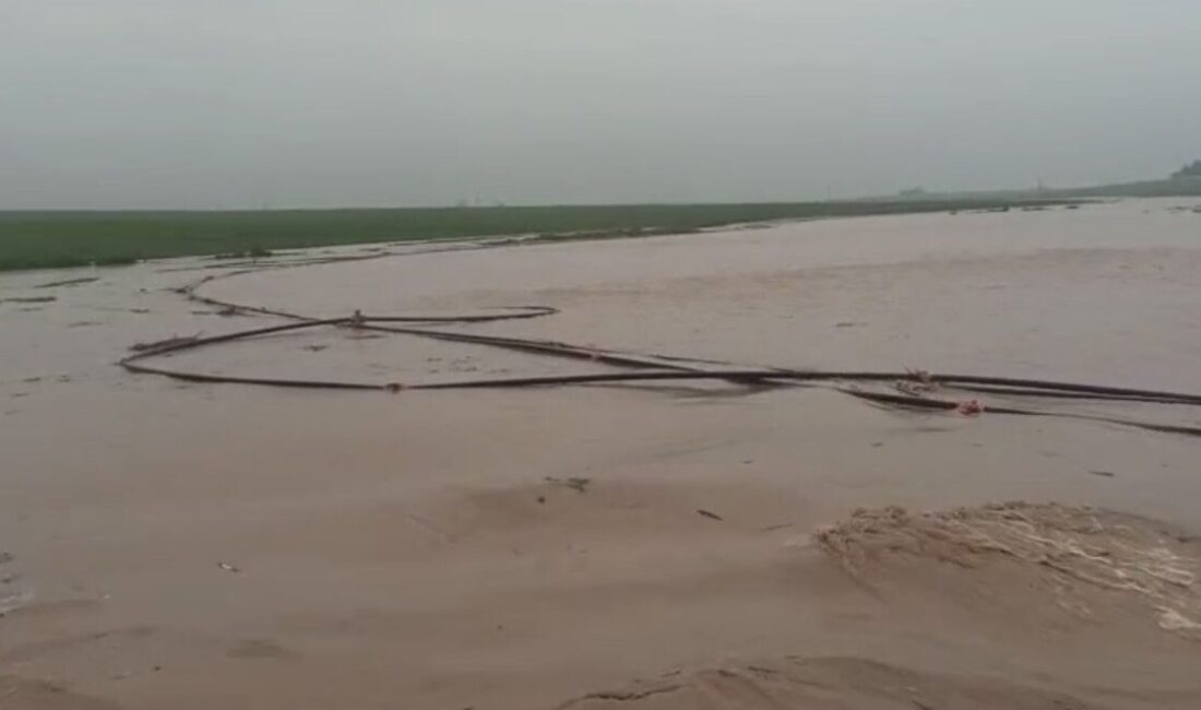 Mardin’de etkili olan şiddetli yağışlar, birçok ilçede derelerin taşmasına neden