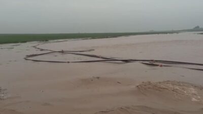 Mardin’de etkili olan şiddetli yağışlar, birçok ilçede derelerin taşmasına neden