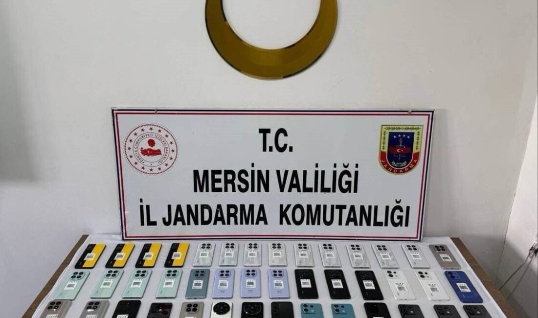 Mersin’de jandarma ekipleri tarafından gerçekleştirilen operasyonda yurt dışından kaçak yollarla