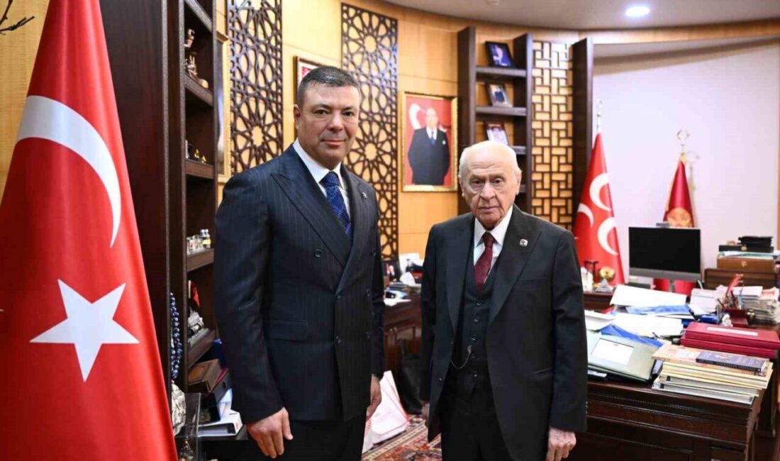 Milliyetçi Hareket Partisi (MHP), Araştırma ve Strateji Geliştirmeden Sorumlu Genel