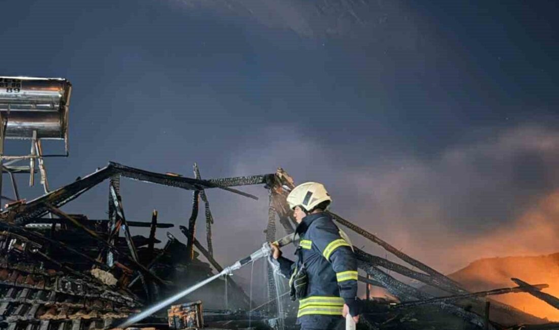Muğla’nın Milas ilçesine bağlı Sakarkaya Mahallesi’nde bulunan iki katlı bir