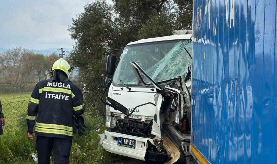 Muğla’nın Milas ilçesine bağlı Damlıboğaz Mahallesi’nde meydana gelen bir trafik