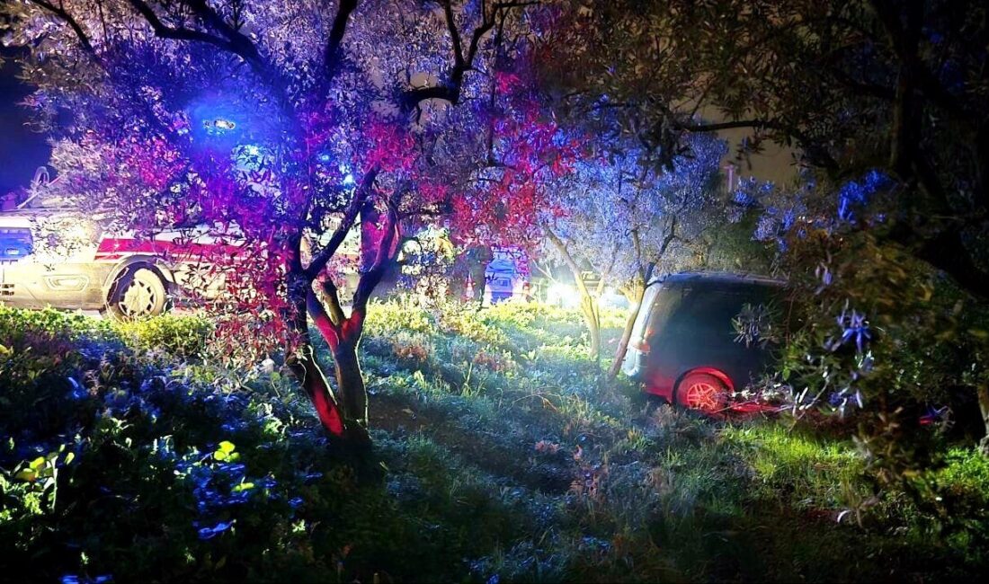 Mudanya ilçesinde gece saatlerinde yaşanan trafik kazasında sürücü, önündeki araca