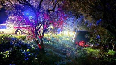 Mudanya ilçesinde gece saatlerinde yaşanan trafik kazasında sürücü, önündeki araca