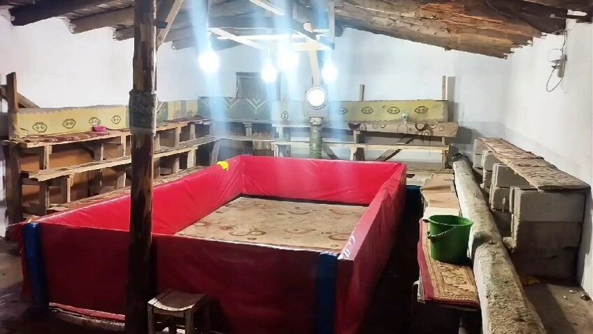 Muş’un Hasköy ilçesinde bir evin ahırında düzenlenen horoz dövüşüne karışan