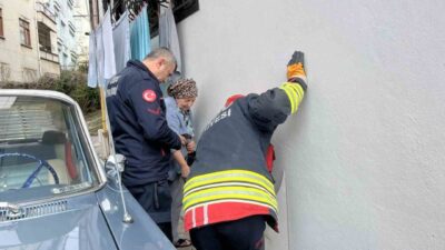 Ünye ilçesindeki bir apartmanın bodrum katından gelen kedi sesleri, hem