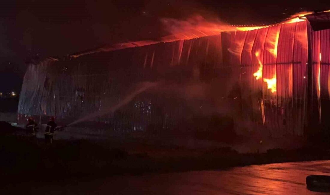 Osmaniye ilinde bir karton fabrikasına yıldırım düşmesi sonucu yangın çıktı.