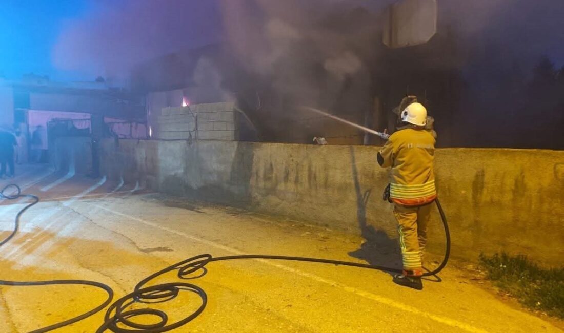 Reyhanlı ilçesinde konteyner alevlere teslim oldu ve kullanılamaz hale geldi.
