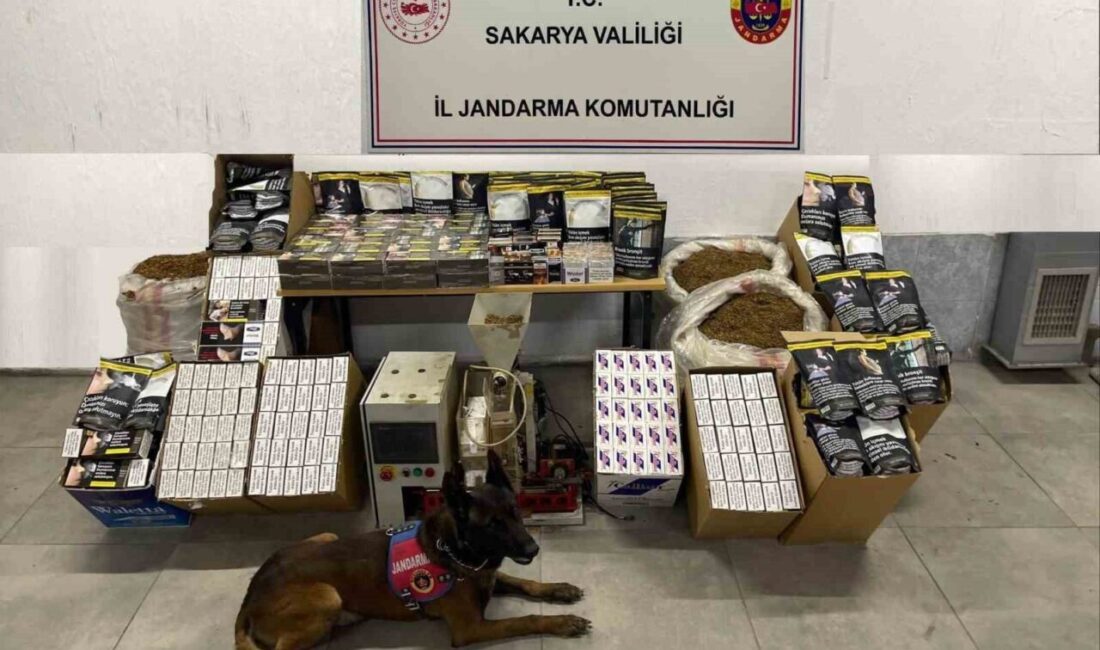 Sakarya’da jandarma ekipleri, Adapazarı ve Pamukova ilçelerinde kaçakçılıkla mücadele kapsamında