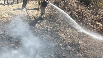 Hatay’ın Samandağ ilçesine bağlı Cemal Gürsel Mahallesi’nde bir bahçede meydana