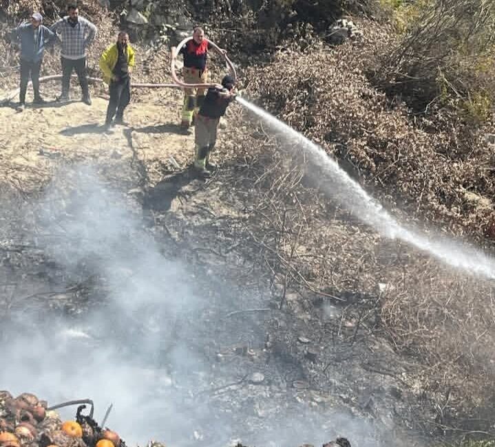 Hatay’ın Samandağ ilçesine bağlı Cemal Gürsel Mahallesi’nde bir bahçede meydana