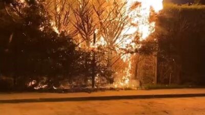 Bursa’nın İnegöl ilçesindeki Botanik Park’ta meydana gelen yangında bir ağaç