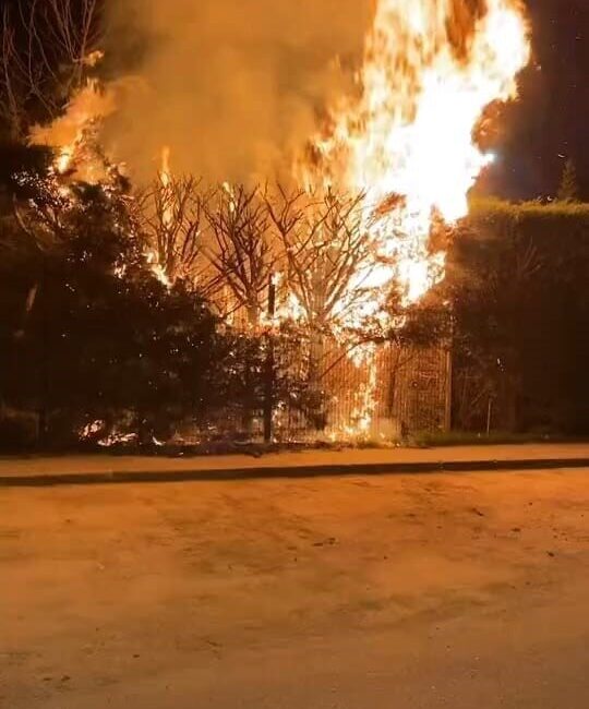 Bursa’nın İnegöl ilçesindeki Botanik Park’ta meydana gelen yangında bir ağaç