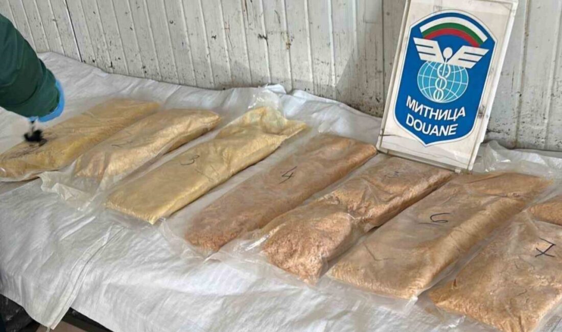 Edirne Kapıkule Sınır Kapısı yakınlarında bir tırın üst torpido kabininde