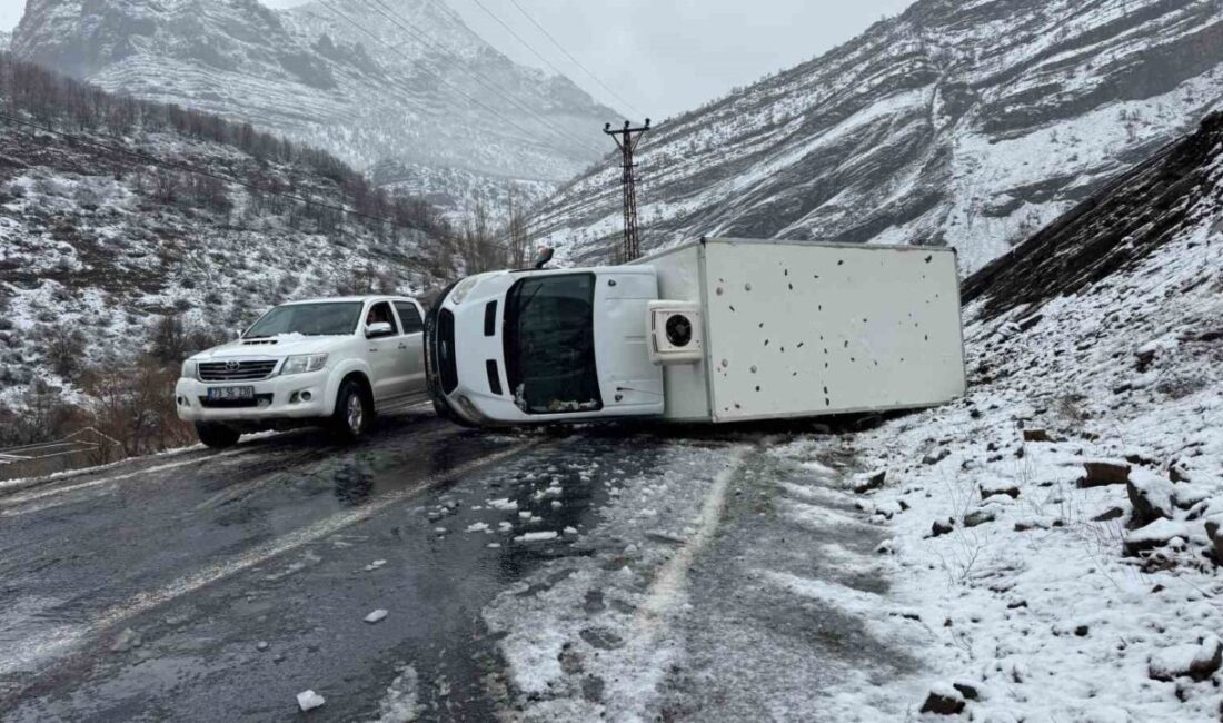 Beytüşşebap ilçesinde yaşanan bir olayda bir kamyonet devrilmiş ve sürücü