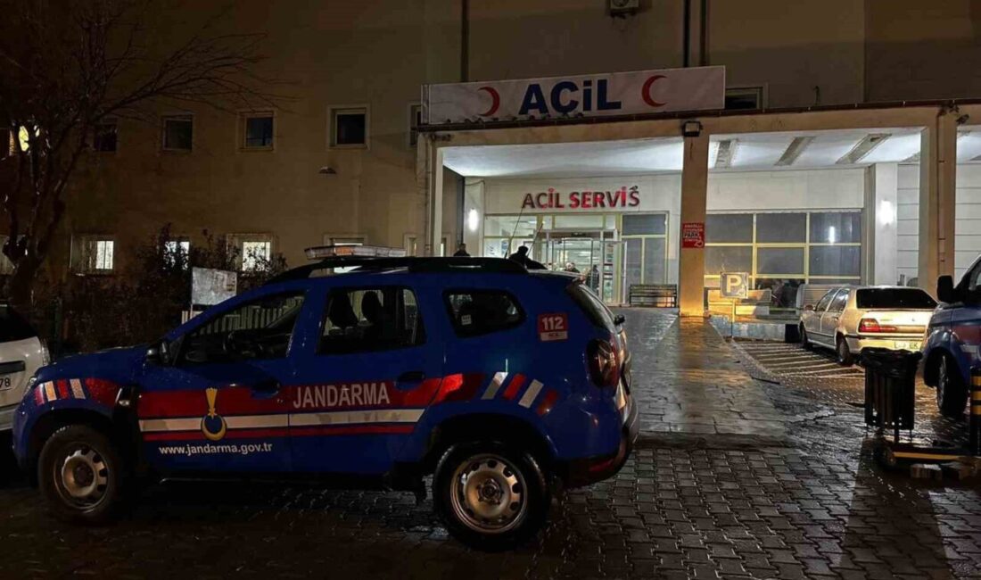 Şanlıurfa’nın Siverek ilçesinde akrabalar arasında çıkan taşlı ve sopalı kavga