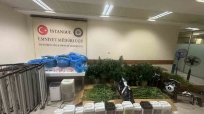 Sultanbeyli’de bir adrese kurulan kenevir serasına yapılan uyuşturucu operasyonunda 21